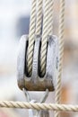 Closeup of tightropes and shekels of a yacht Royalty Free Stock Photo
