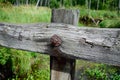 Closeup of Timber Bridge Guardrail