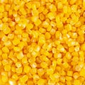 Closeup of tinned whole kernel corn,