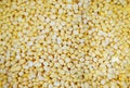 Closeup of tinned whole kernel corn, it could be used as background