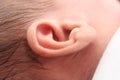 Closeup Of Tiny cute New born Baby`s Ear with hair Royalty Free Stock Photo