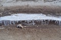 Ice sheet with downwards growing ice crystals