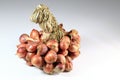 Closeup to a bunch of red shallot onions
