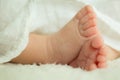 Closeup to the feet of a newborn baby Royalty Free Stock Photo