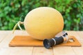 Fresh galia melon in the plate