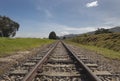 Closeup to an old railroad crossing a green countryfield with a lonely tree