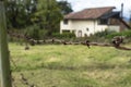 Closeup to an old and rusty barbed wire fence at green countryside Royalty Free Stock Photo