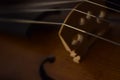 Closeup to a string instrument