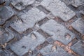 Closeup to Used Military Panzer Truck Tire Royalty Free Stock Photo