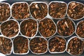 Closeup for tobacco cigarettes background Royalty Free Stock Photo