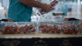 Closeup tomato factory packs sorting process unknown horticultural employee hand