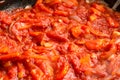 Closeup tomato sauce Royalty Free Stock Photo