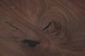 Closeup toned black walnut surface