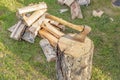 Closeup tools for hand chopping firewood