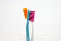 Closeup Toothbrush Royalty Free Stock Photo