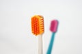 Closeup Toothbrush