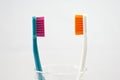 Closeup Toothbrush Royalty Free Stock Photo