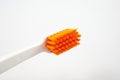 Closeup Toothbrush