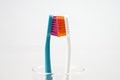 Closeup Toothbrush, romantic Royalty Free Stock Photo