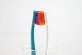 Closeup Toothbrush, romantic