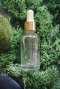 Bottle of essential oil on moss Royalty Free Stock Photo