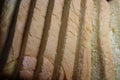 Closeup top view of freshly prepared slices of toast bread Royalty Free Stock Photo