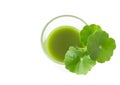 Closeup top view Gotu kola`s leafs drink on white background, he