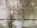 closeup top view, old cement floor, peeling paint, moss and mold Royalty Free Stock Photo
