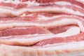 Closeup pieces of raw pork belly Royalty Free Stock Photo