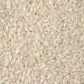 Closeup, top view of raw carnaroli risotto rice. Food backdrop Royalty Free Stock Photo