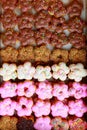 Closeup top view studio shot of various kinds of delicious tasty yummy baking donuts including strawberry chocolate white malt and