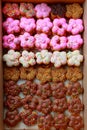 Closeup top view studio shot of various kinds of delicious tasty yummy baking donuts including strawberry chocolate white malt and
