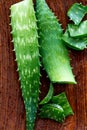 Closeup top view of wet aloe vera for alternative medicine