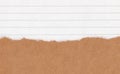 Closeup torn grunge brown paper on white lined paper texture background. Rip Paper note ,brown paper sheet with space for text ,pa Royalty Free Stock Photo