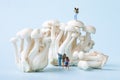 Closeup of a toy people hiking on the mushrooms on a blue background