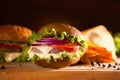 Closeup of traditional cheeseburger or hamburger and french fries Royalty Free Stock Photo