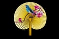 Closeup of Traditional Chinese fan on black background Royalty Free Stock Photo