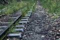 Closeup of train rails with grass and rocks Royalty Free Stock Photo