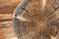 Closeup of transect of round log with coils and cracks and blurry wooden building Royalty Free Stock Photo