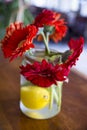 Closeup of Gerbera bouquet in a vase Royalty Free Stock Photo