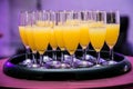 Closeup of a tray of orange flavored welcome drinks at an event