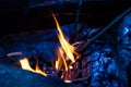 Tree branches burning in  camping bonfire. Royalty Free Stock Photo