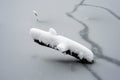 tree trunk covered by the snow in a frozen lake during a snowy day Royalty Free Stock Photo