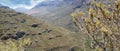 Closeup of trees and plants growing on a mountain in the countryside during summer. Scenic landscape and panoramic view