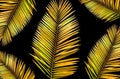 Closeup, Tropical palm gold yellow colour leaf isolated on black background for design or stock photos, summer plant, flora