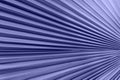 Closeup of tropical palm leaf pattern in trendy purple colors. Minimalism composition. Color of the Year 2022. Very Peri