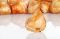 Closeup tulip bulb