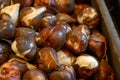 Closeup of Tulip bulbs in a wooden box Royalty Free Stock Photo