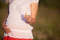 Closeup of tummy of a pregnant woman. Pregnant woman holding daisy and walking on meadow