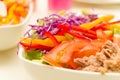 Closeup tuna salad with fresh purple cole, tomato and capsicum slices in white bowl Royalty Free Stock Photo